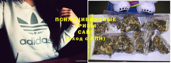 эйфоретик Верея