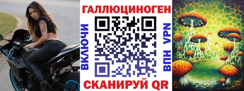 где купить наркотик  Киселёвск  Галлюциногенные грибы мухоморы 